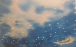 Fiber Optic Starry Sky