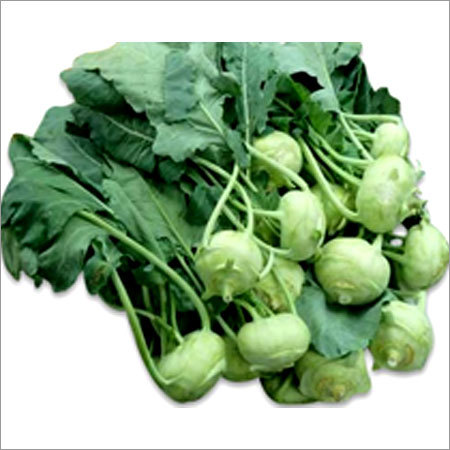 Fresh Knolkol