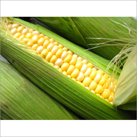 Agro Products