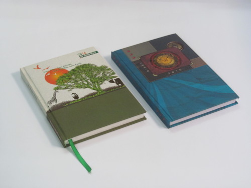 Diaries