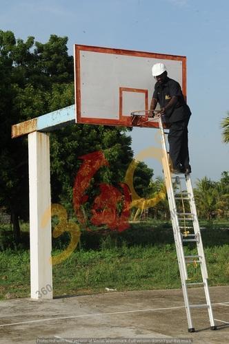 Wall Support Extendable Ladder