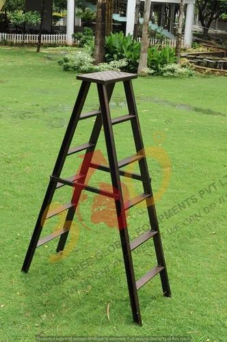 Self Support Ladder with Platform
