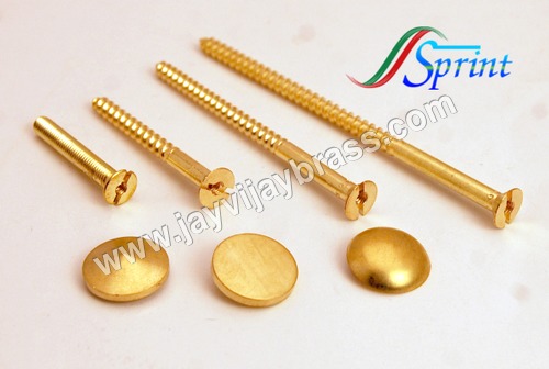 Brass Mirror Screw With Cap
