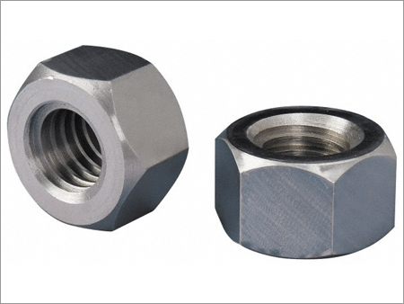 SS Hex Nuts