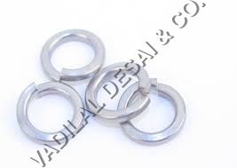 SS Spring Washer