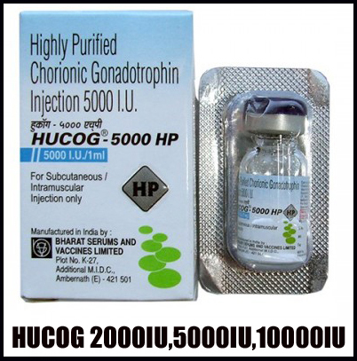 Hucog HCG Injections