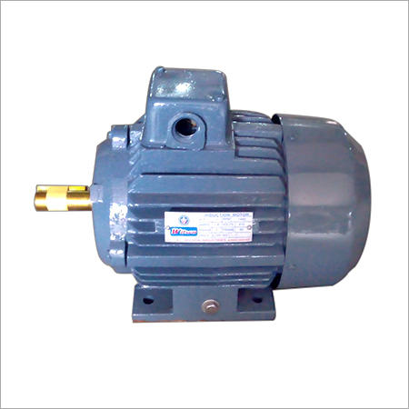 Electric Induction Motor