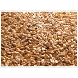 Barley Malt