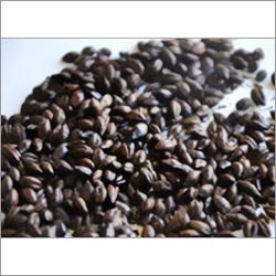 Roasted Malt