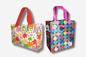 Printed Non Woven Bag - Non Woven Fabric, Medium Size, Stylish Design , Durable Handles, Easily Washable, Ideal for Shopping and Gifting
