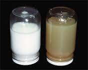 Wax emulsions