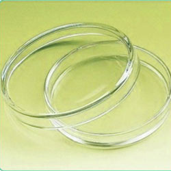 Petri Dishes