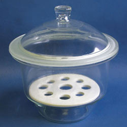 Glass Desiccator
