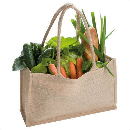 Small Grocery Bag