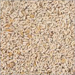 Isabgol Powder