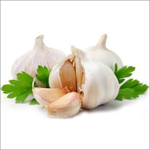 White Garlic