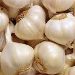 Fresh Garlic