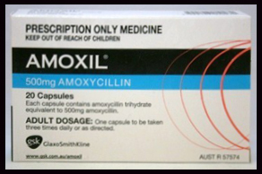 Amoxicillin Tablet General Medicines