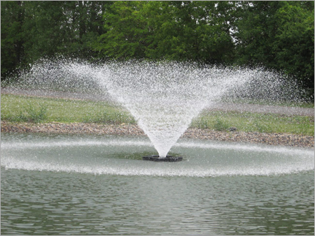 Water Fountain