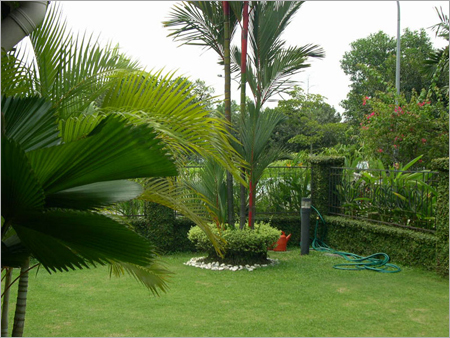 Landscaping Services