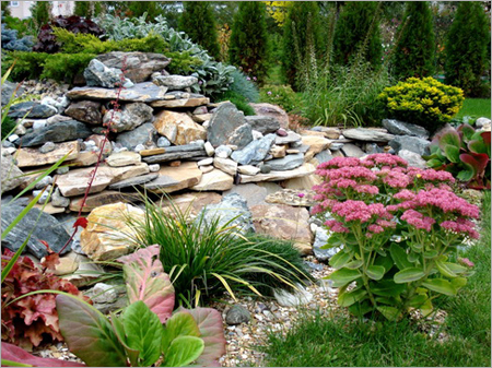 Commercial Landscape Services