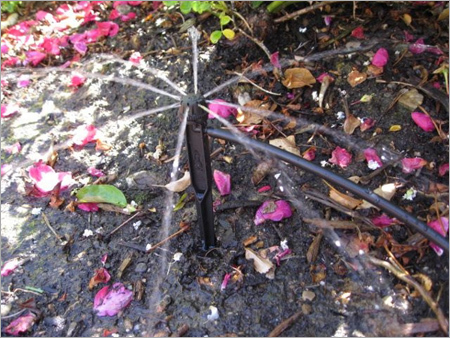Drip Irrigation Solution