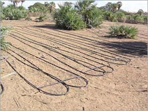 Landscape Sprinkler Maintenance