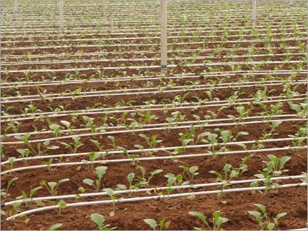 Drip Irrigation System