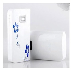Battery Type Power Bank