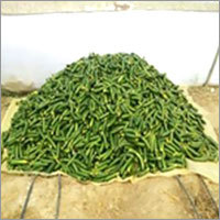 Cucumber
