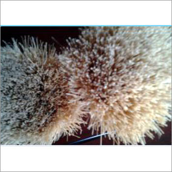 Tampico Bristle Fiber
