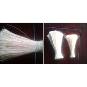 Bristle Fiber