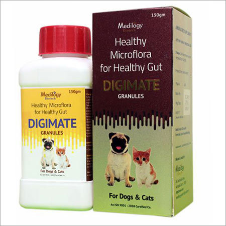 Probiotics Supplements