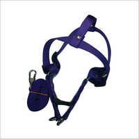 Royal Blue Dog Harness
