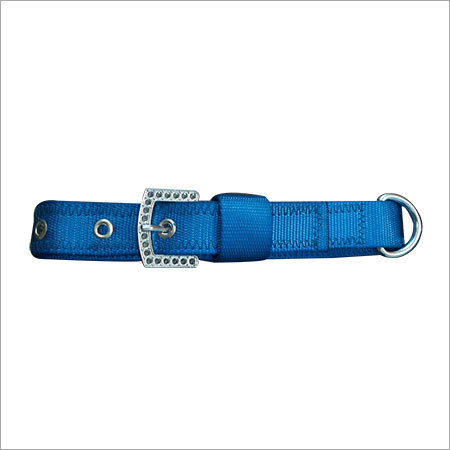 Royal Blue Pp Dog Collar