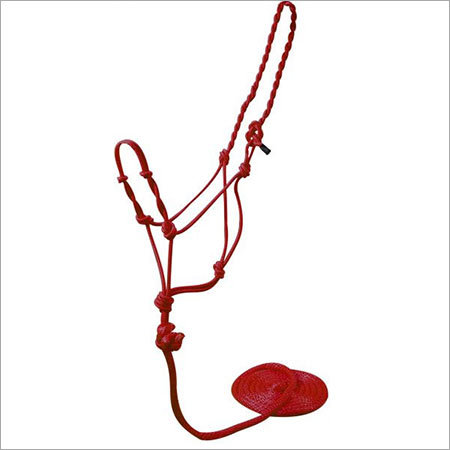 Horse Halter