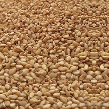 Sesame Seeds