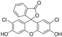 2, 7 Dichlorofluorescein