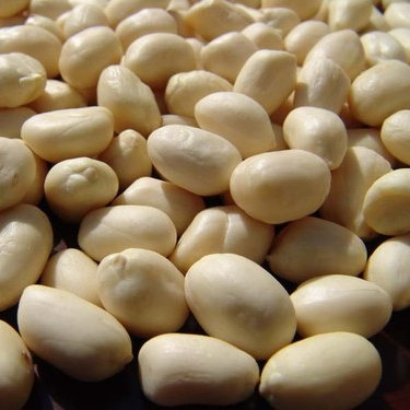 Blanched Peanuts