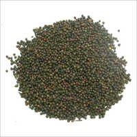 Vaividang Medicinal Seeds