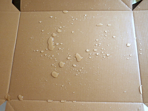 Water Resistant Corrugated Box