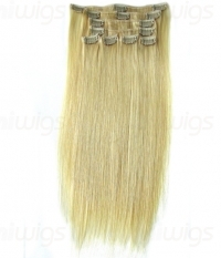 Natural Remy Hair