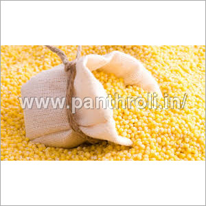Maize