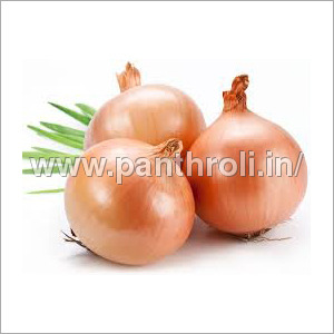 Organic Onion