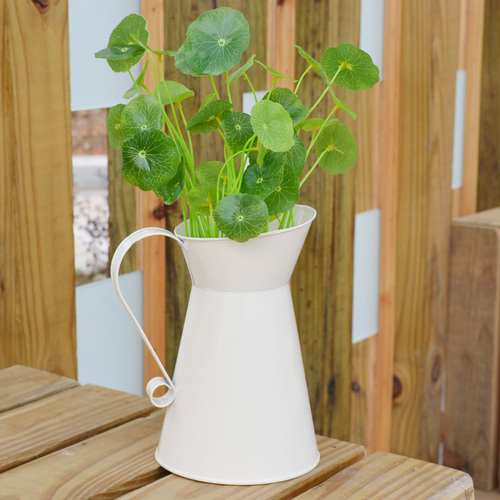 Flower Pots & Vases.
