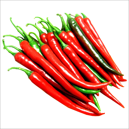 Hot Pepper Seed