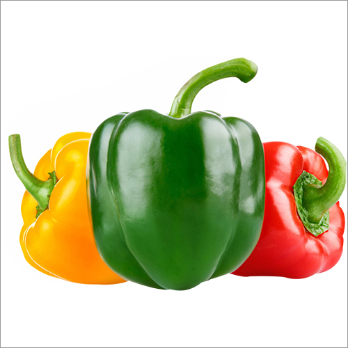 Sweet Pepper Seed