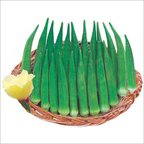 Okra Seed