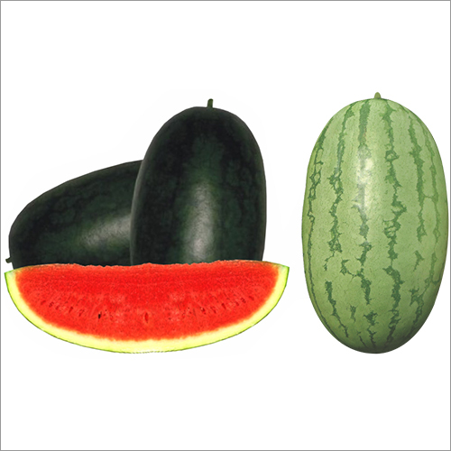 Watermelon Seed