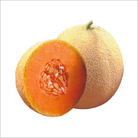 Watermelon Seed